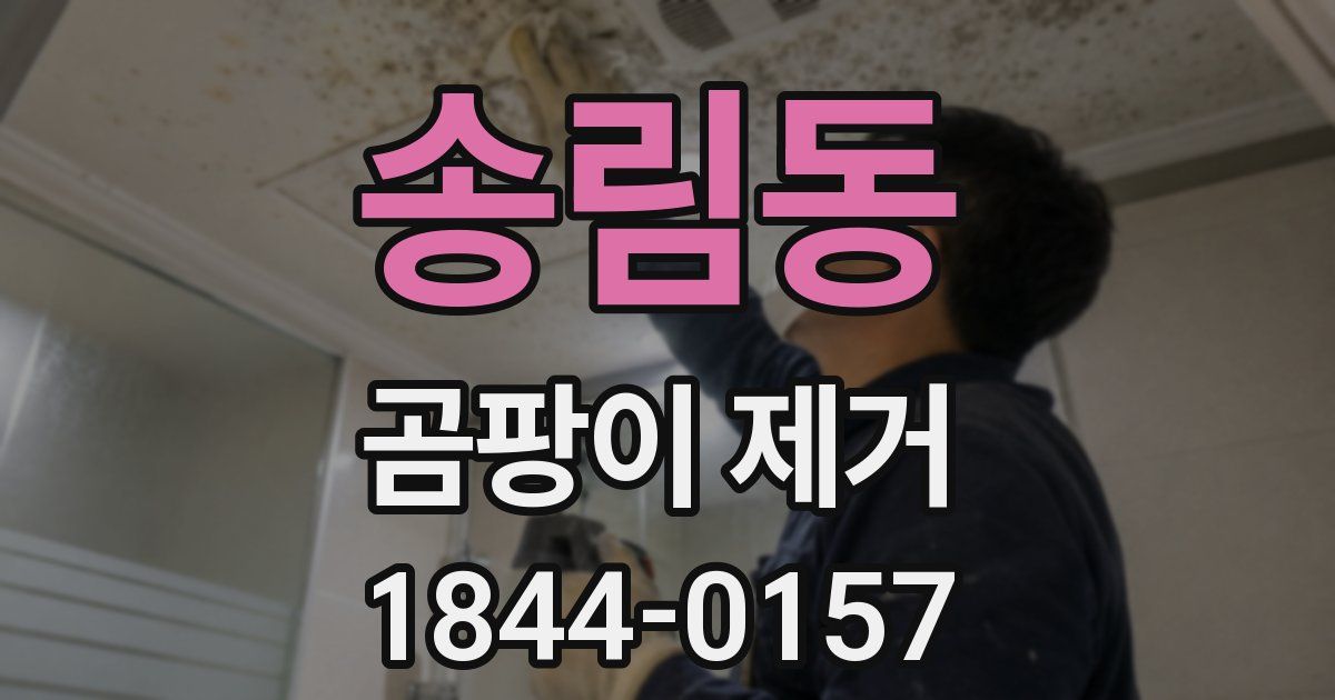 송림동 곰팡이 제거