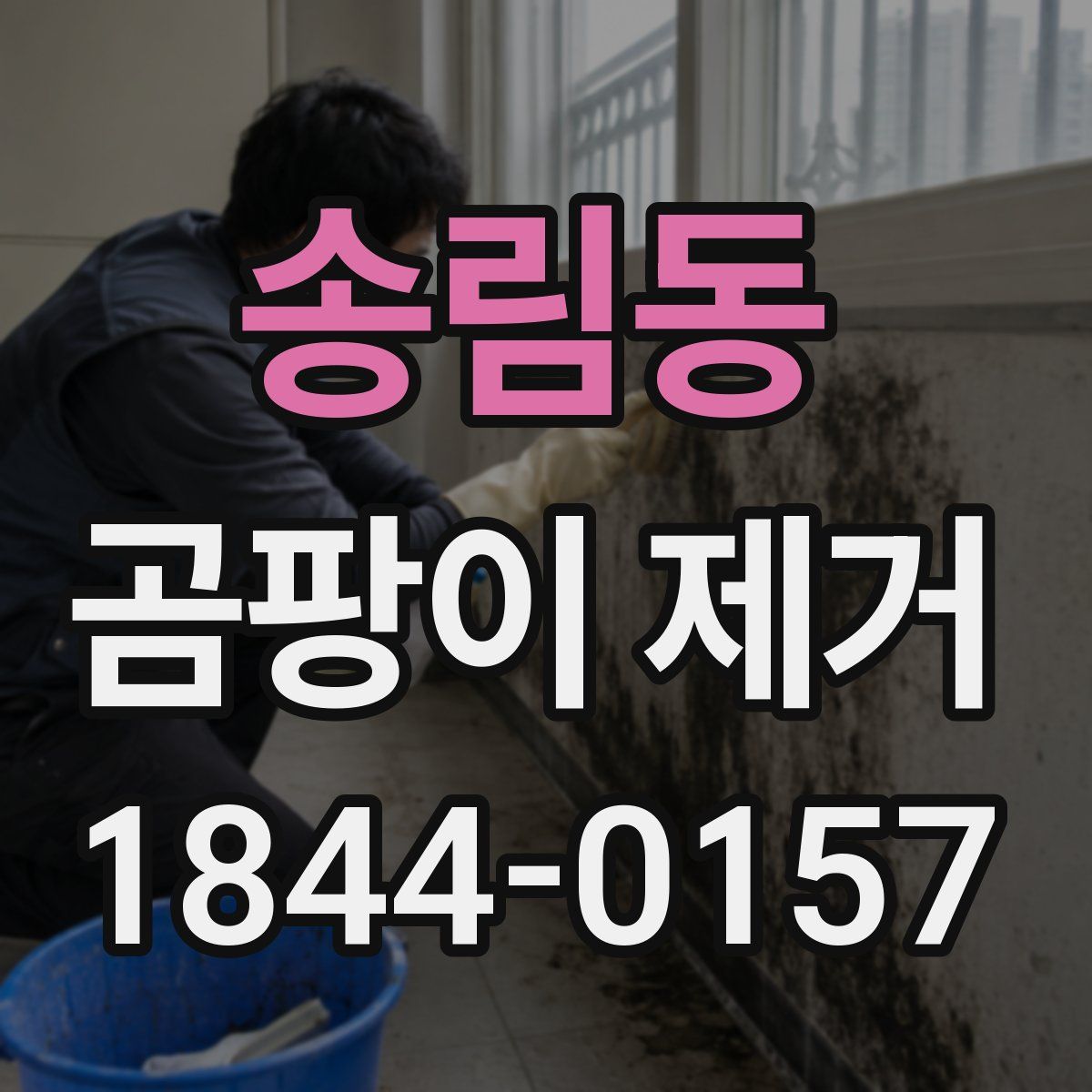송림동 곰팡이 제거