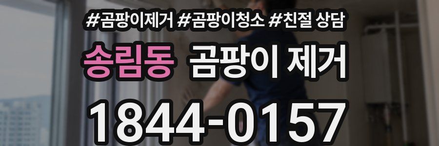 송림동 곰팡이 제거