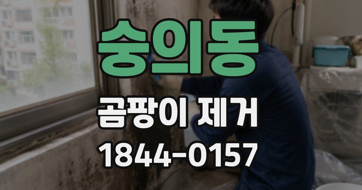 숭의동 곰팡이 제거