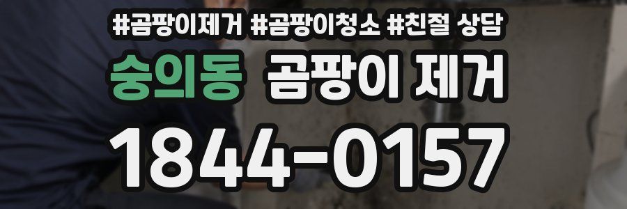 숭의동 곰팡이 제거