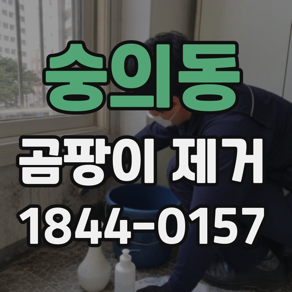 숭의동 곰팡이 제거