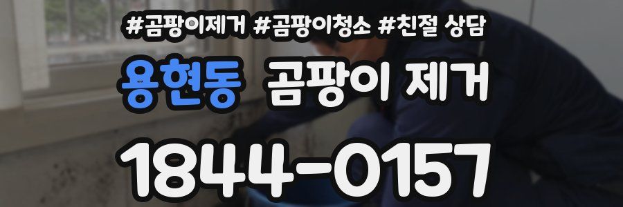 용현동 곰팡이 제거