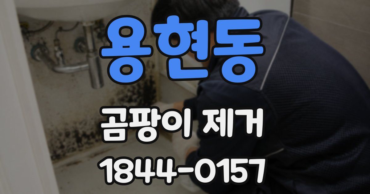 용현동 곰팡이 제거