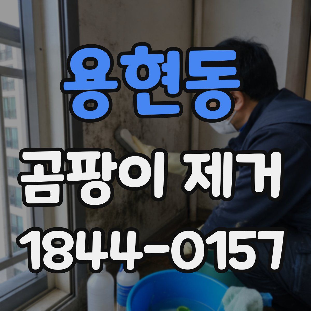 용현동 곰팡이 제거