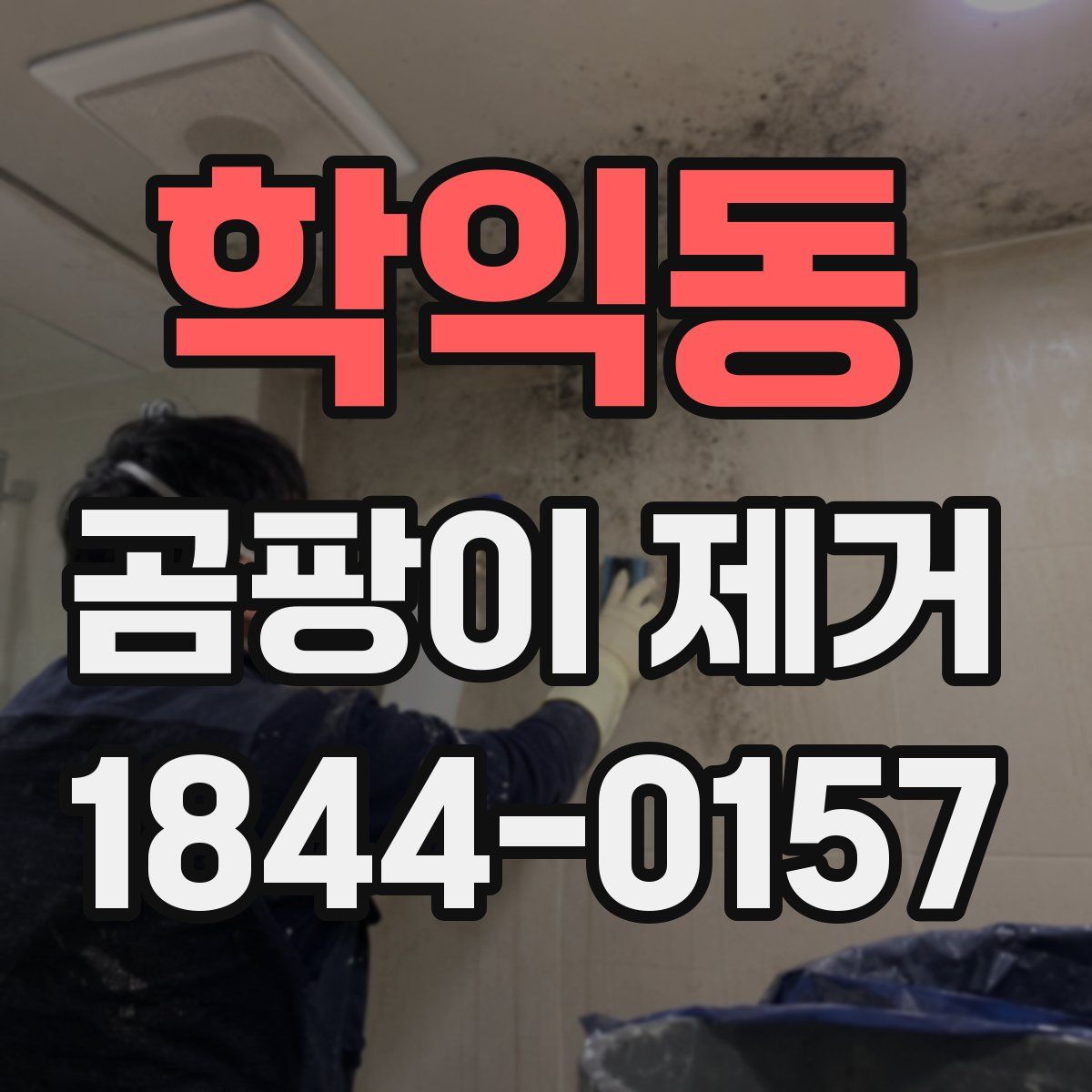 학익동 곰팡이 제거