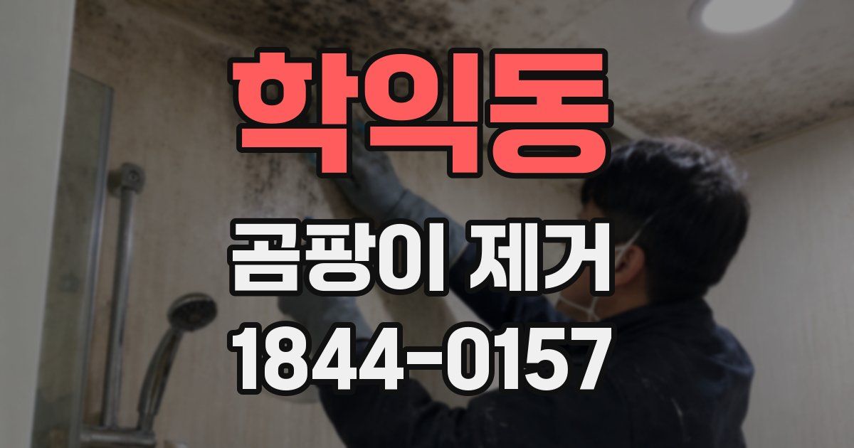 학익동 곰팡이 제거
