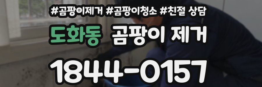 도화동 곰팡이 제거