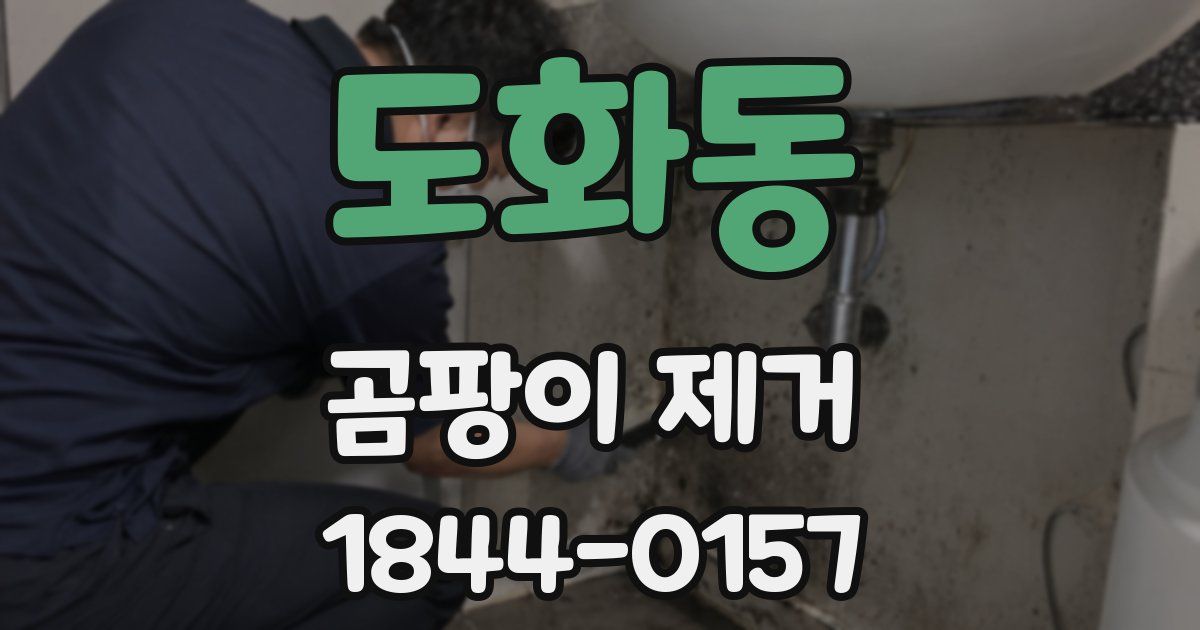 도화동 곰팡이 제거