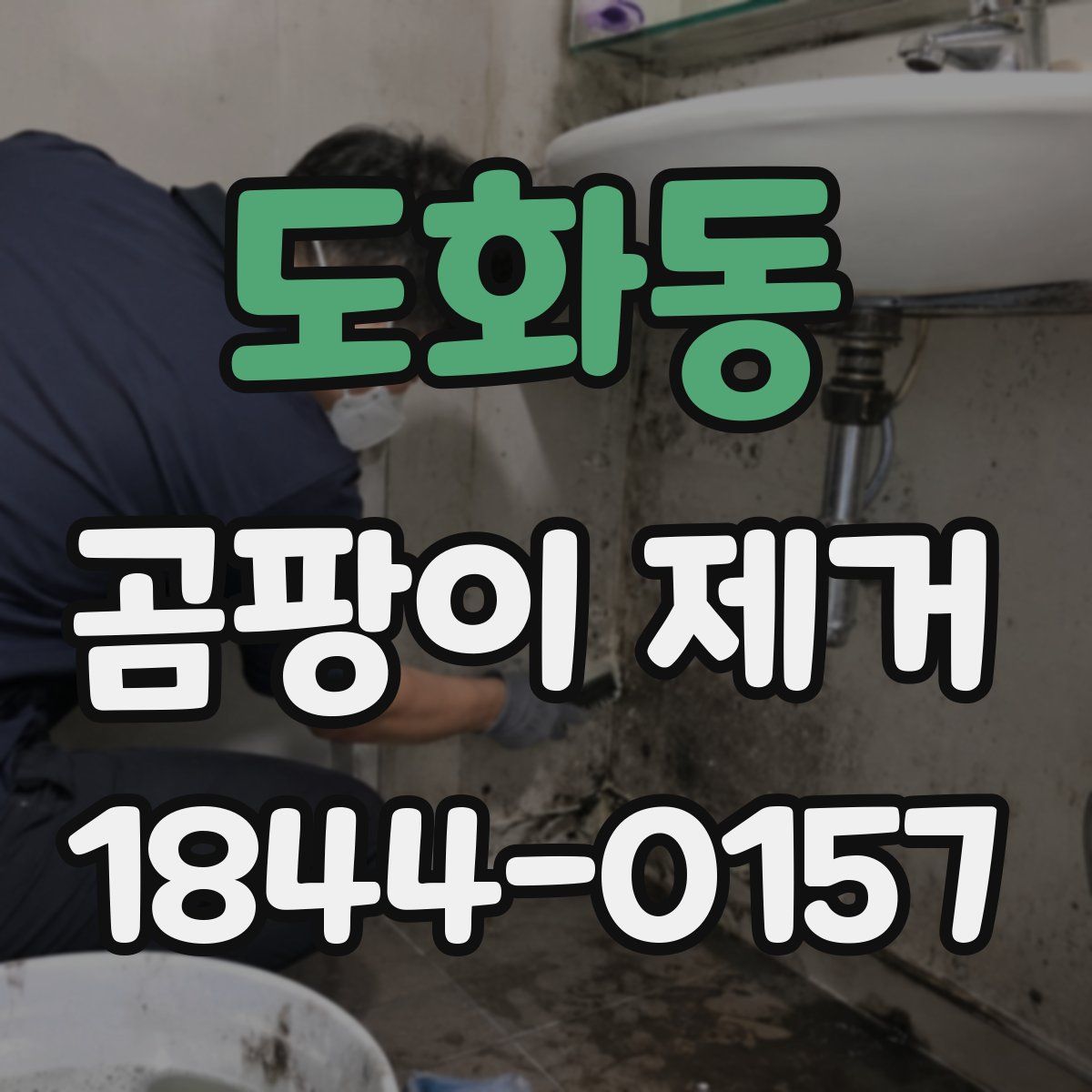 도화동 곰팡이 제거