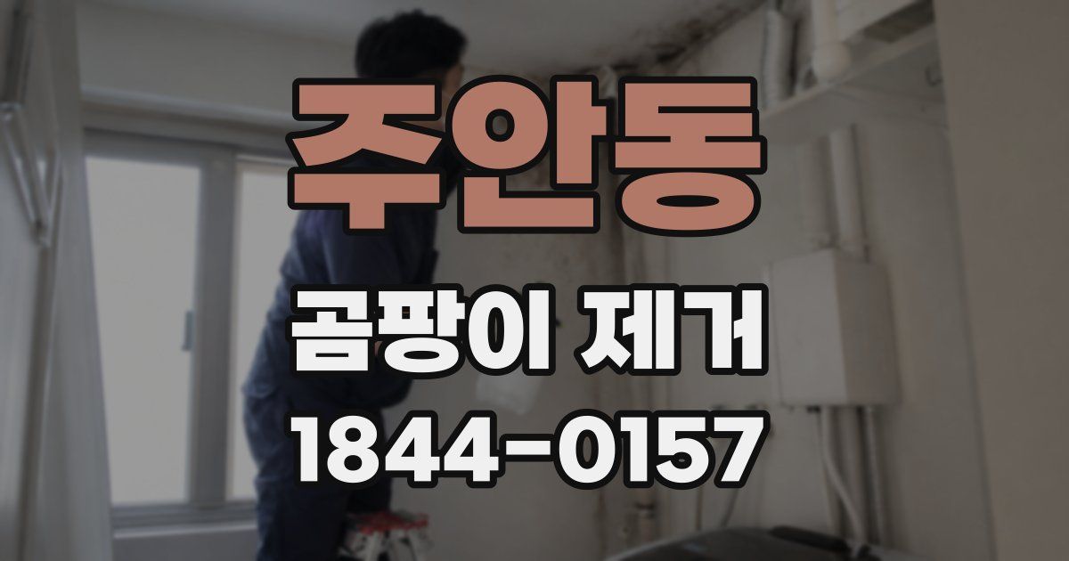 주안동 곰팡이 제거