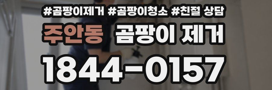 주안동 곰팡이 제거