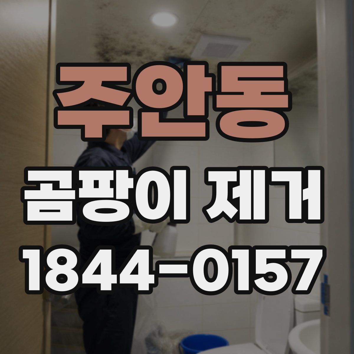 주안동 곰팡이 제거