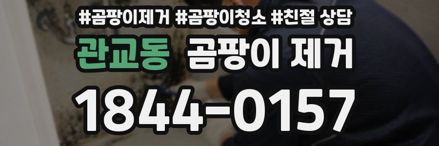 관교동 곰팡이 제거