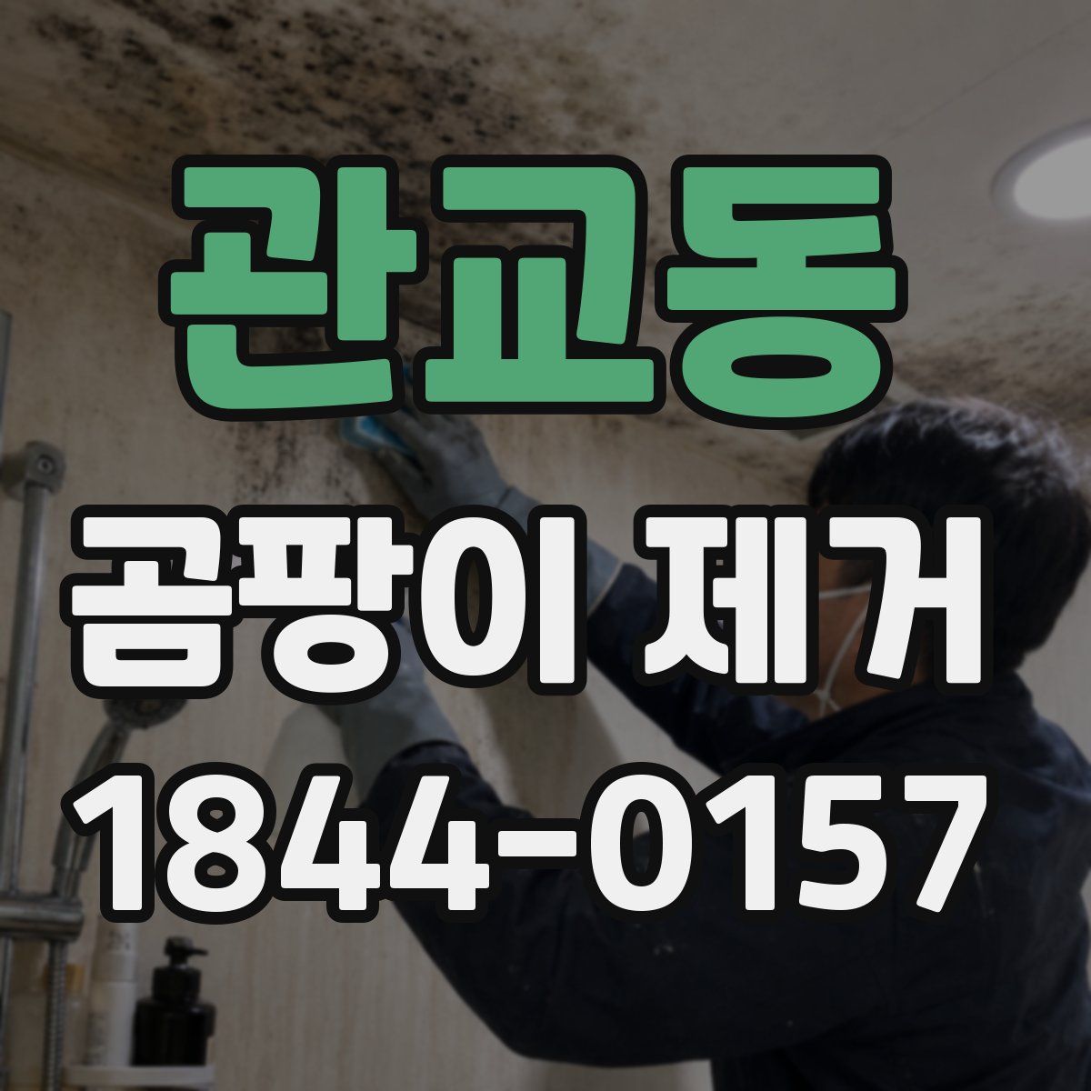 관교동 곰팡이 제거