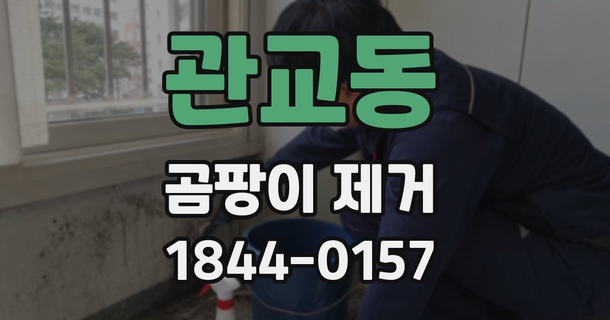 관교동 곰팡이 제거