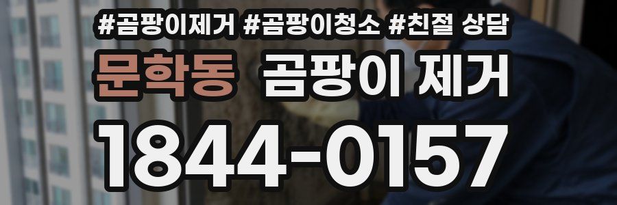 문학동 곰팡이 제거