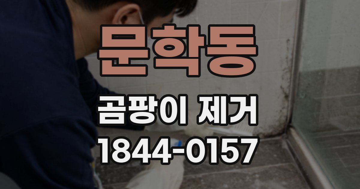 문학동 곰팡이 제거