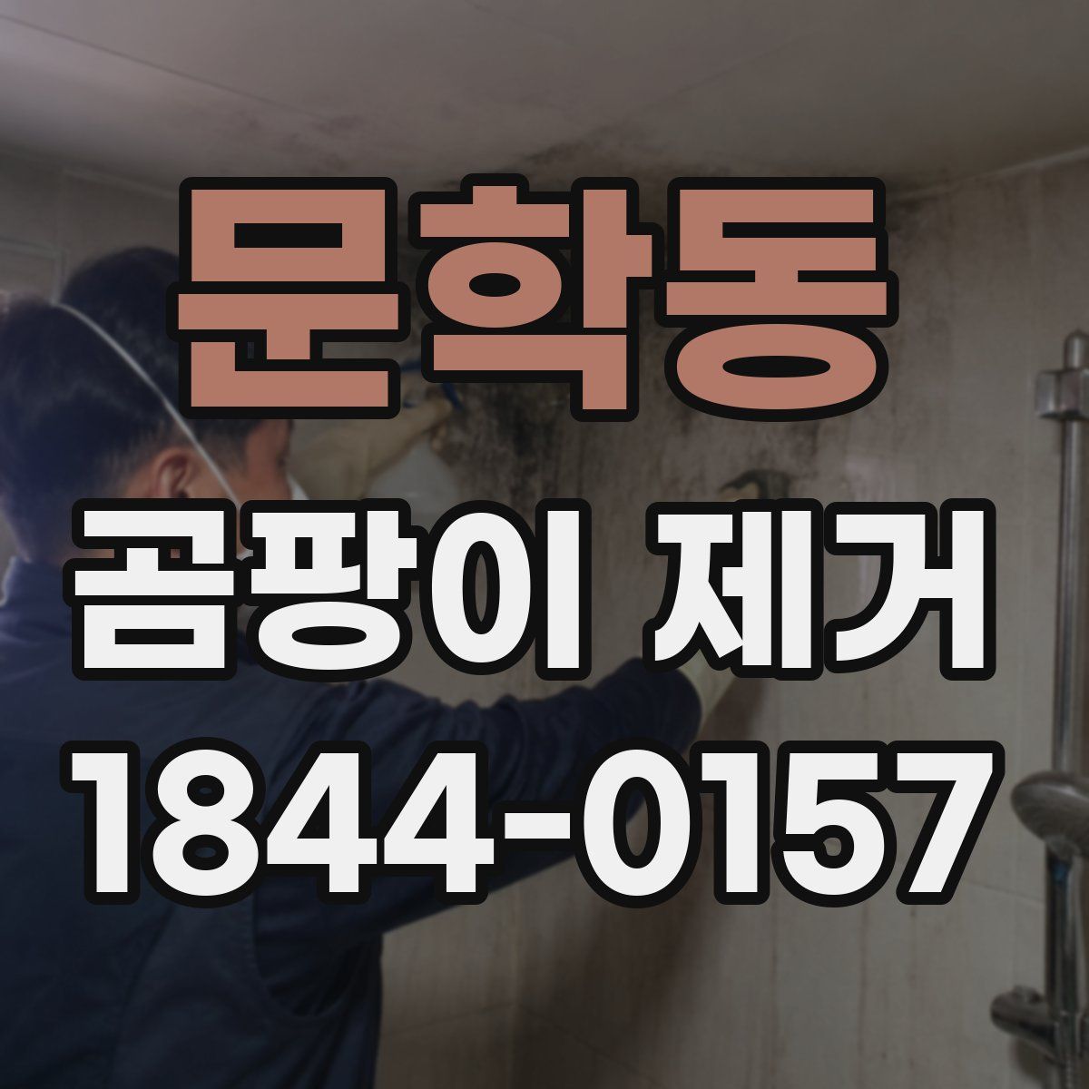 문학동 곰팡이 제거