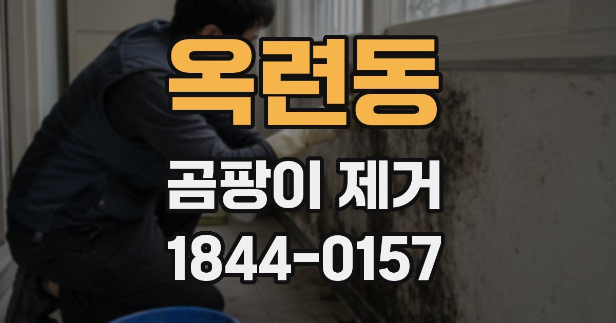 옥련동 곰팡이 제거