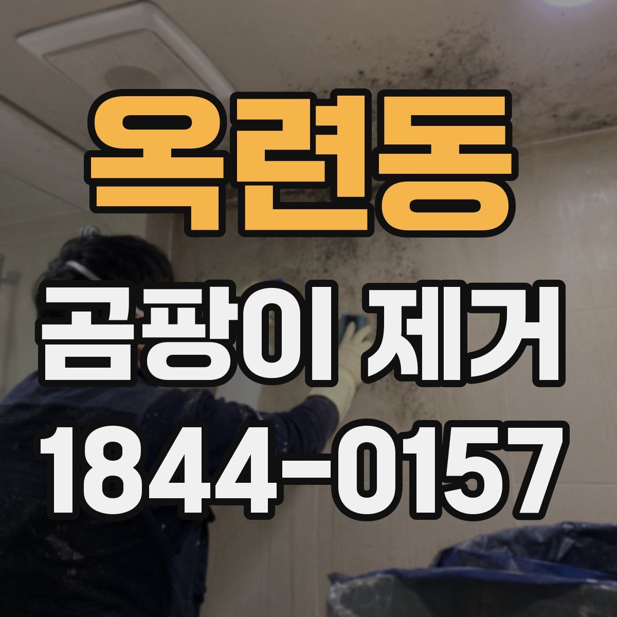 옥련동 곰팡이 제거