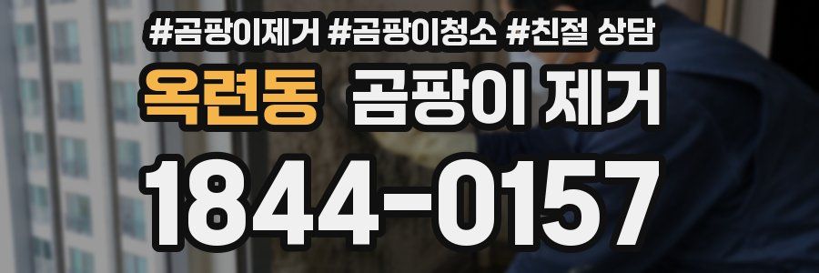 옥련동 곰팡이 제거