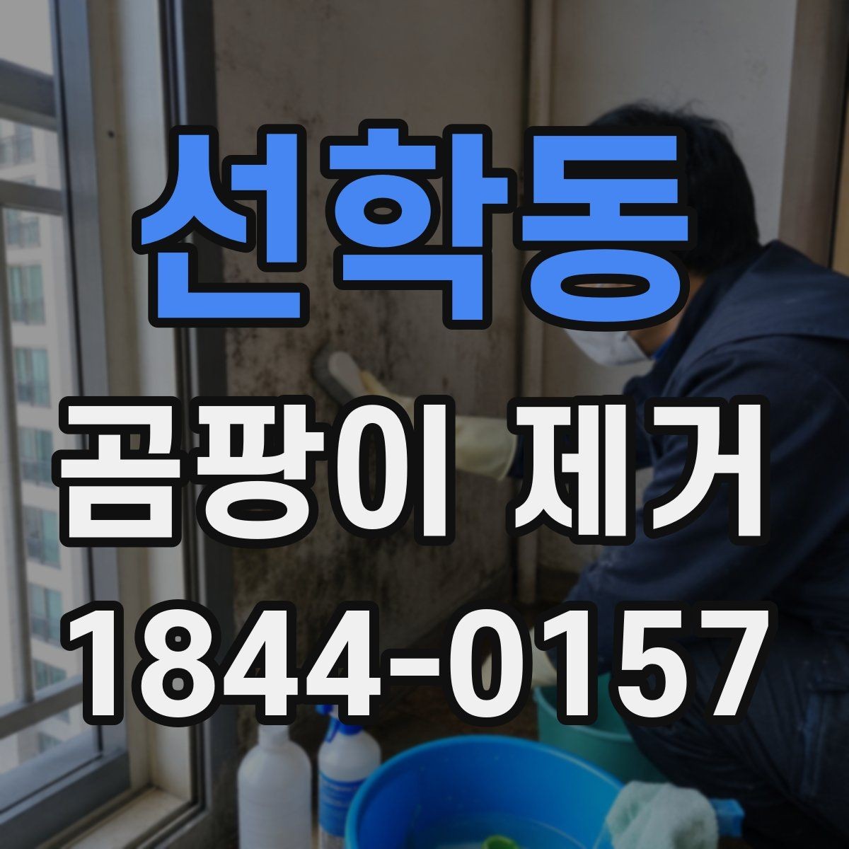 선학동 곰팡이 제거 업체에 요청할 수 있는 작업 범위