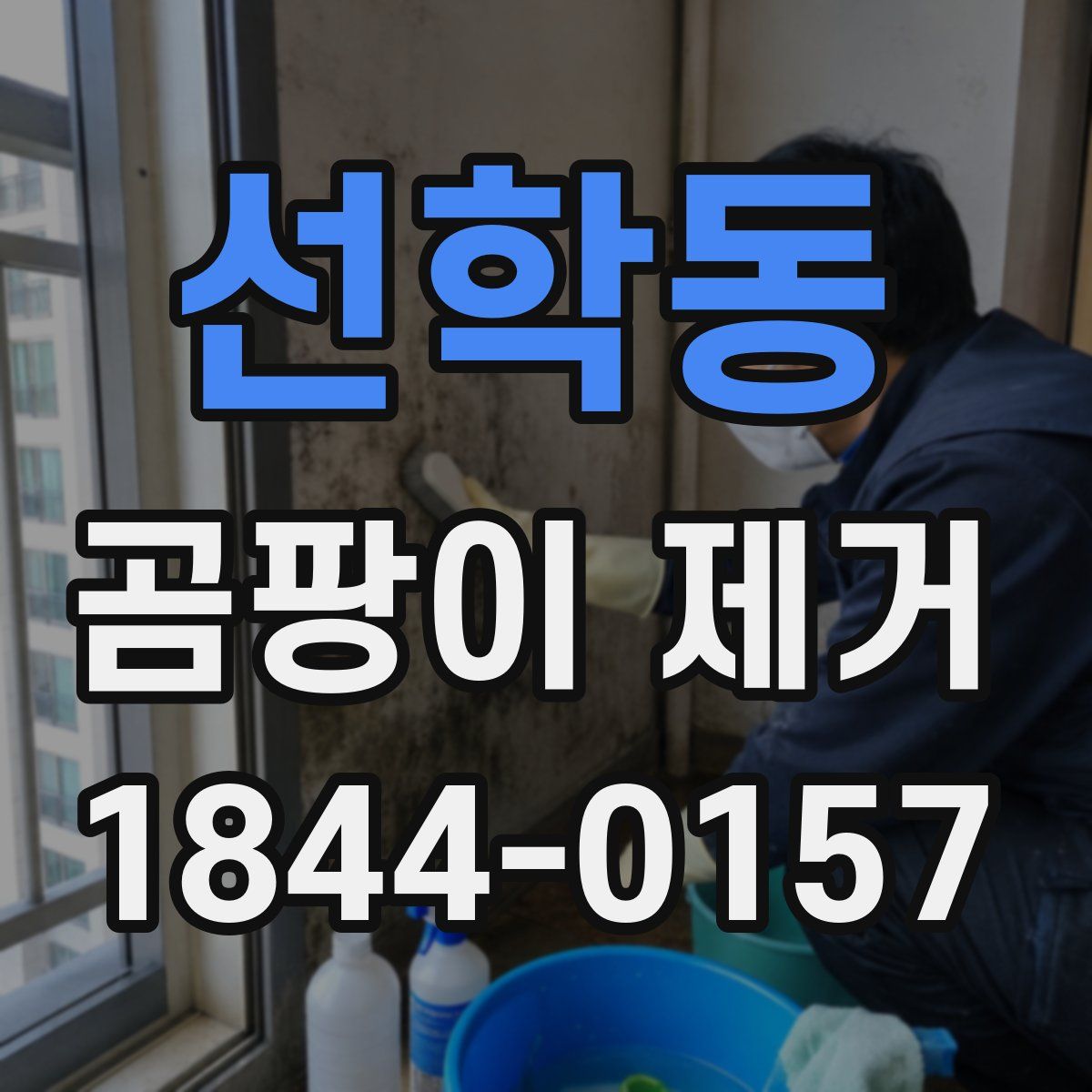 선학동 곰팡이 제거