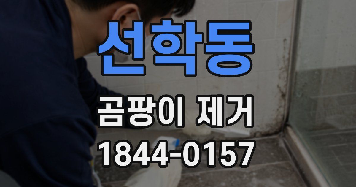 선학동 곰팡이 제거