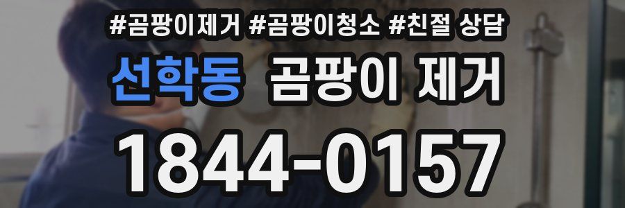 선학동 곰팡이 제거