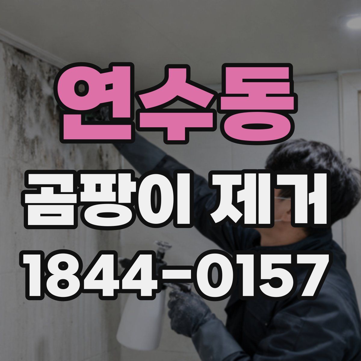 연수동 곰팡이 제거