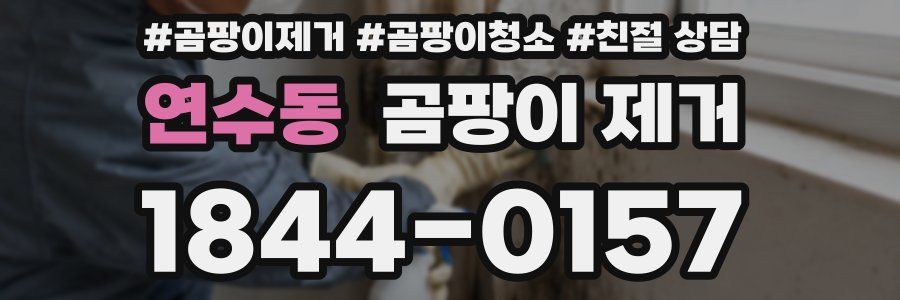 연수동 곰팡이 제거