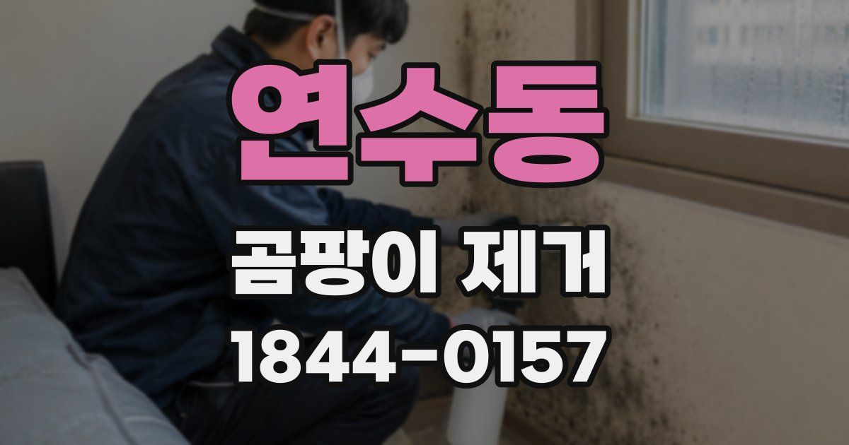 연수동 곰팡이 제거