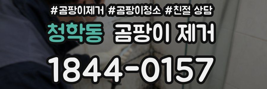 청학동 곰팡이 제거
