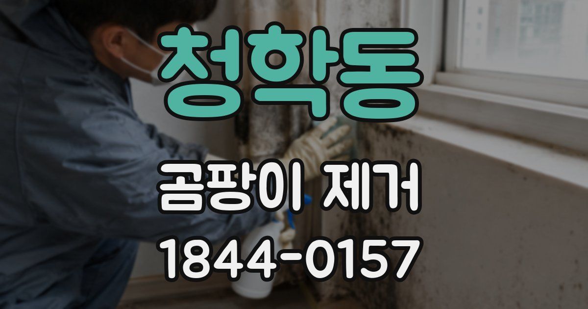 청학동 곰팡이 제거