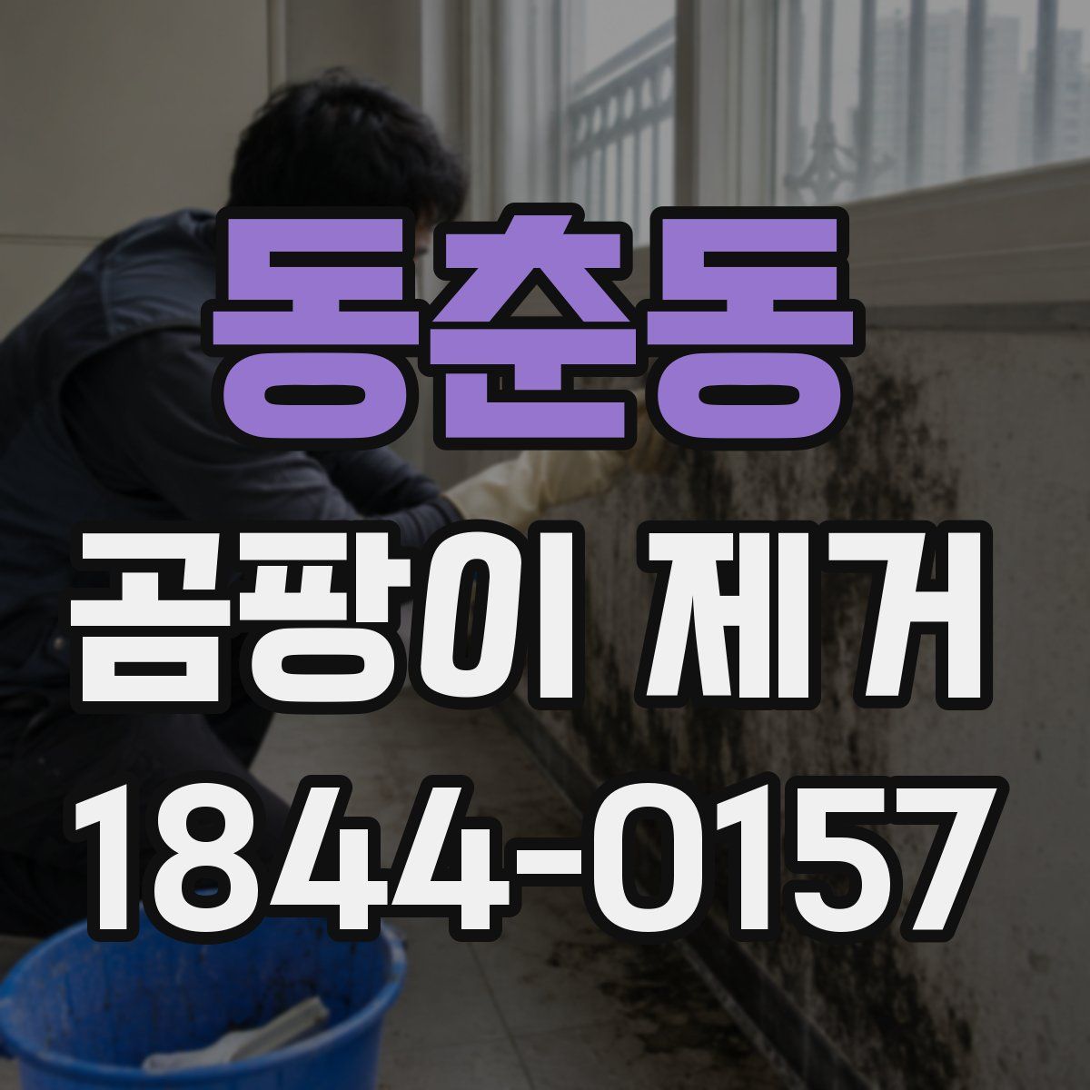 동춘동 곰팡이 제거