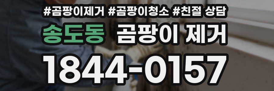송도동 곰팡이 제거
