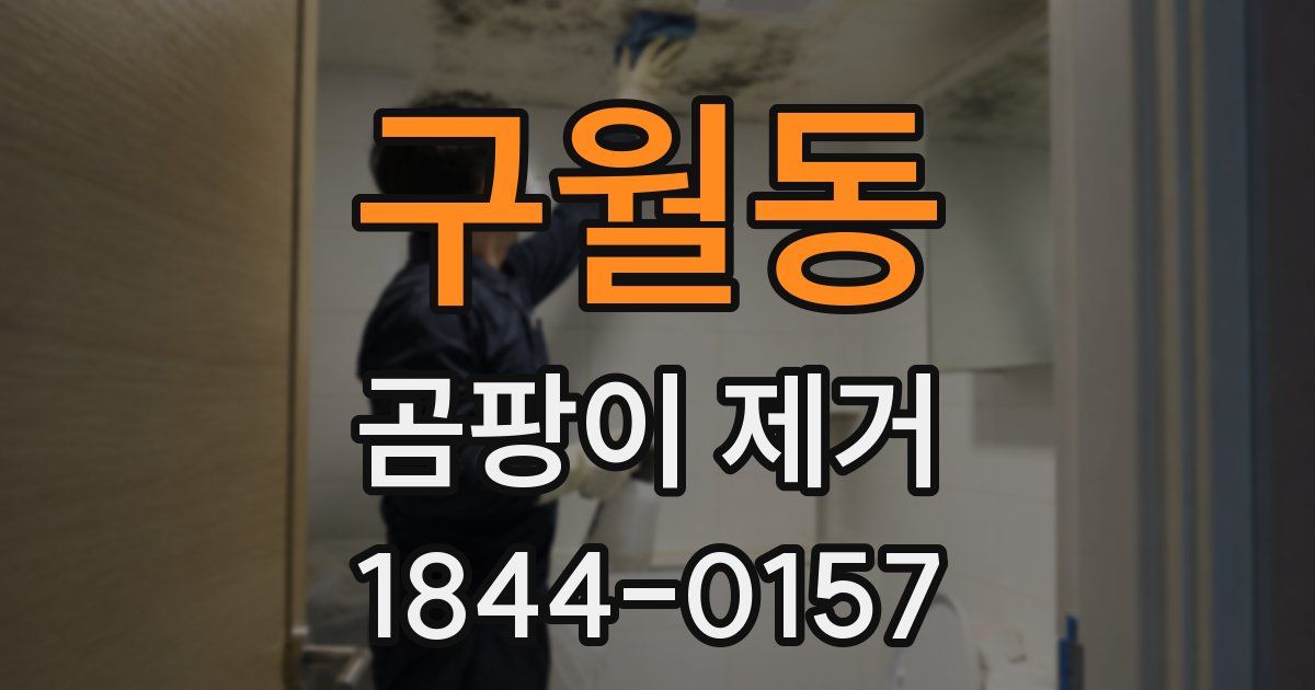 구월동 곰팡이 제거