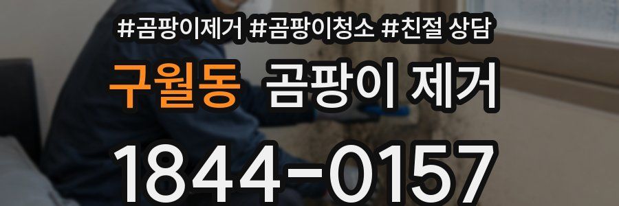 구월동 곰팡이 제거