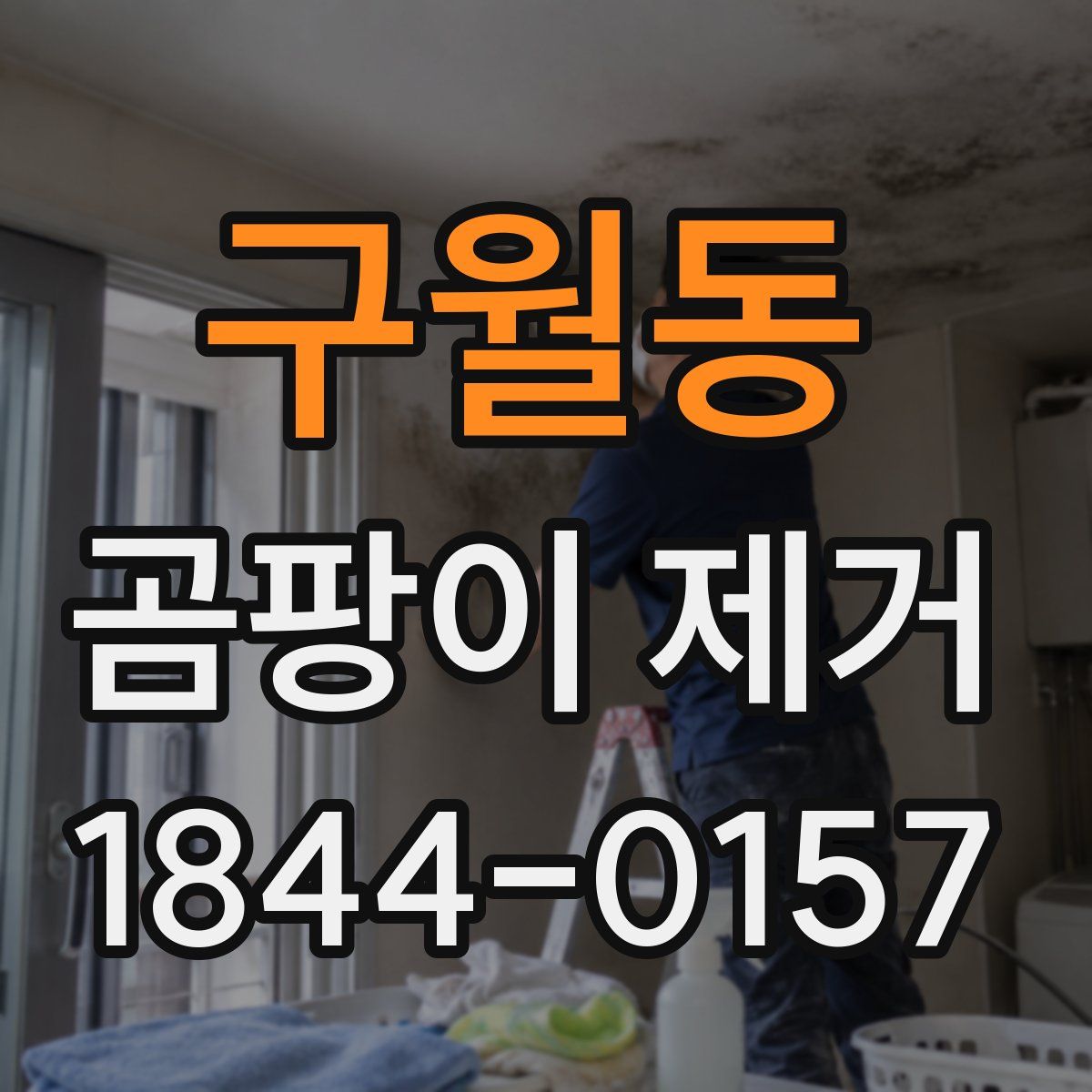 구월동 곰팡이 제거
