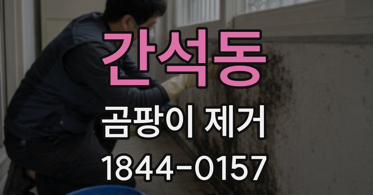 간석동 곰팡이 제거