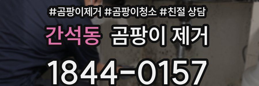 간석동 곰팡이 제거
