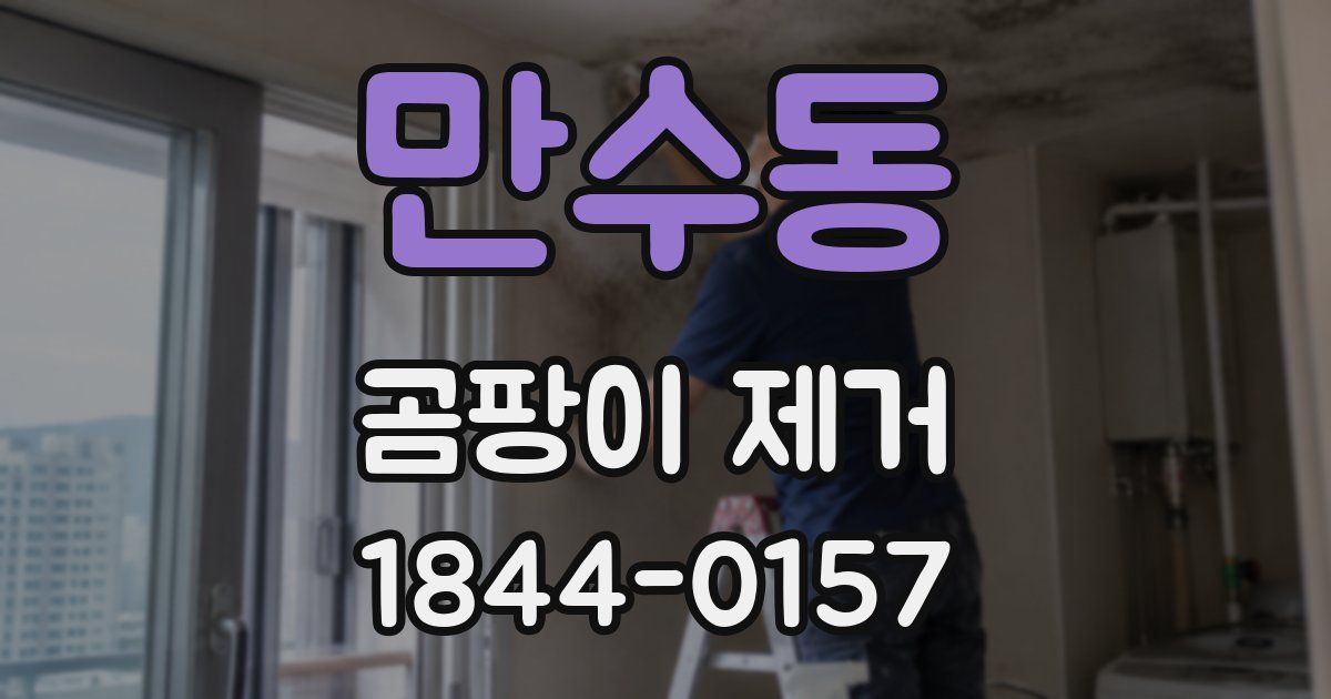 만수동 곰팡이 제거