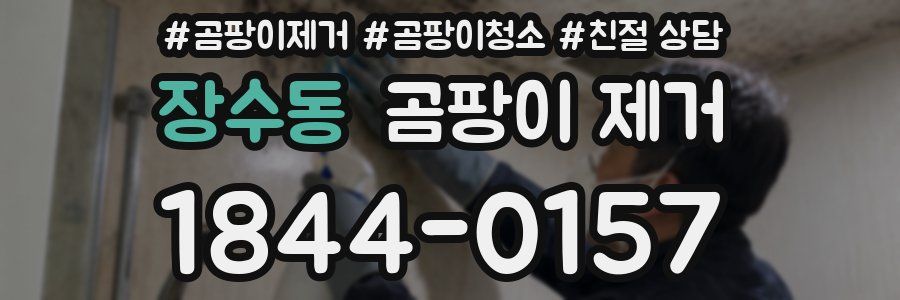 장수동 곰팡이 제거