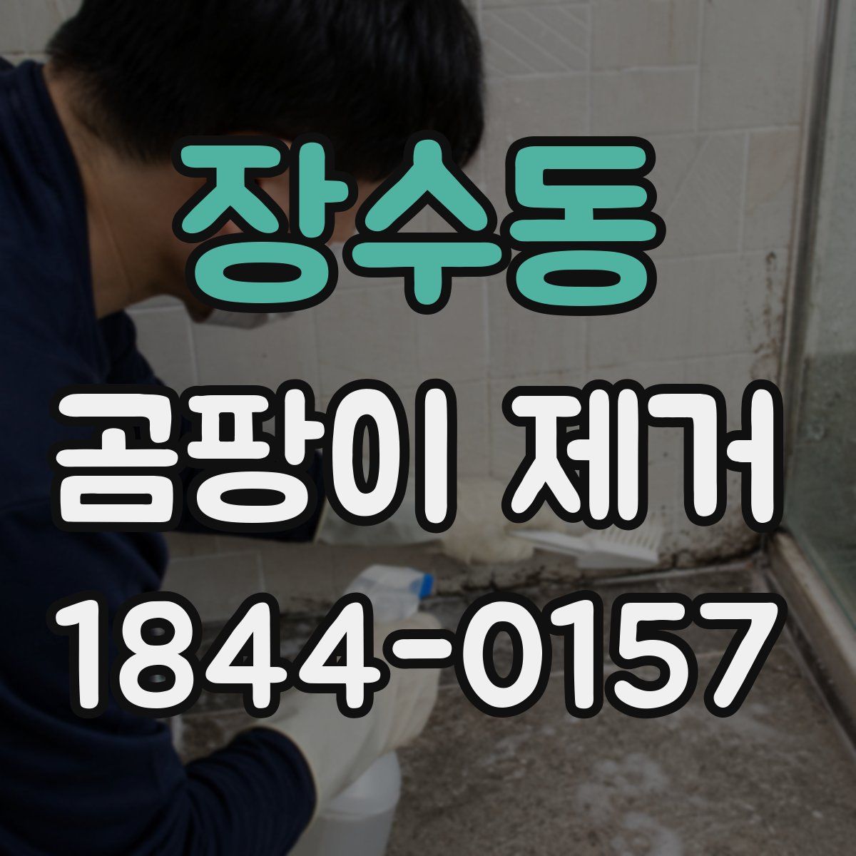 장수동 곰팡이 제거