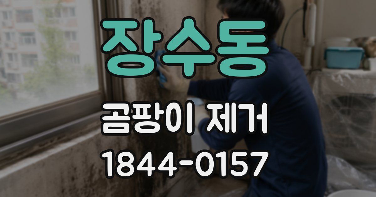 장수동 곰팡이 제거