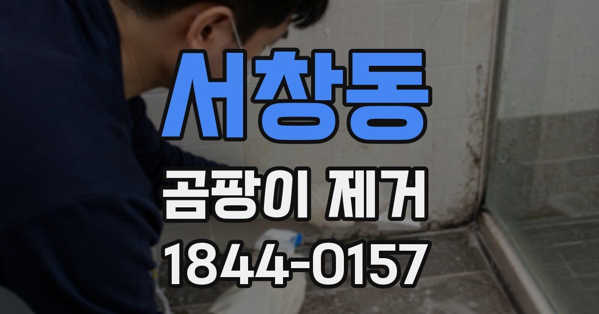 서창동 곰팡이 제거