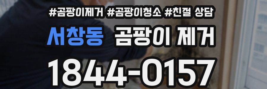 서창동 곰팡이 제거