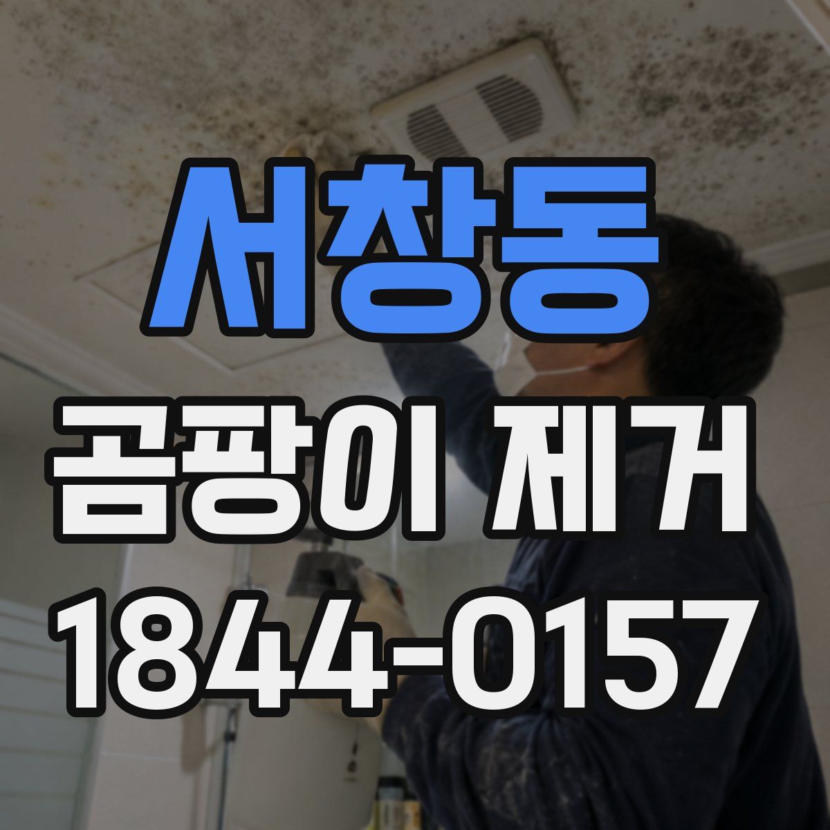 서창동 곰팡이 제거