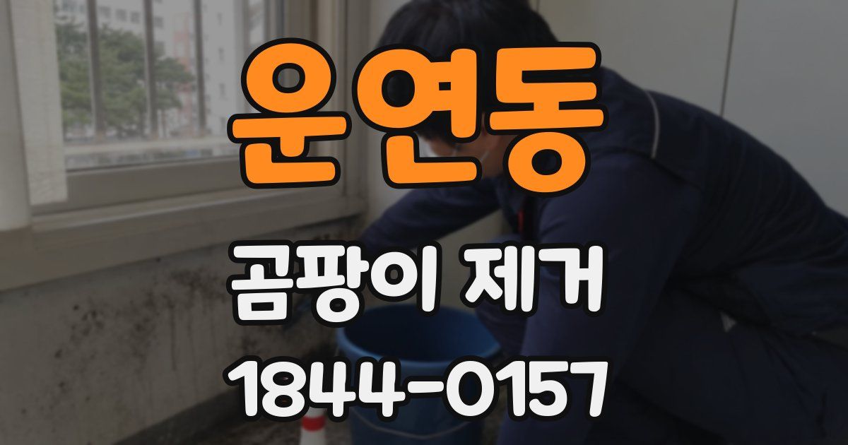 운연동 곰팡이 제거
